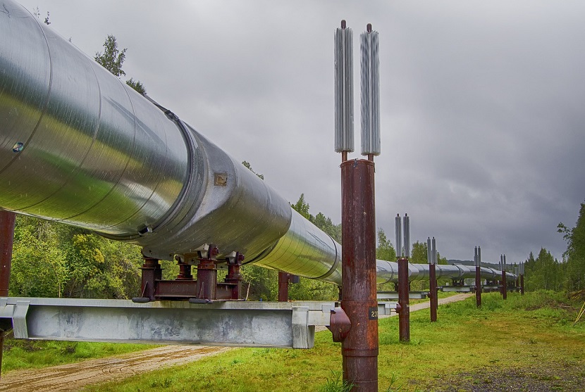 Crude oil prices stabilized