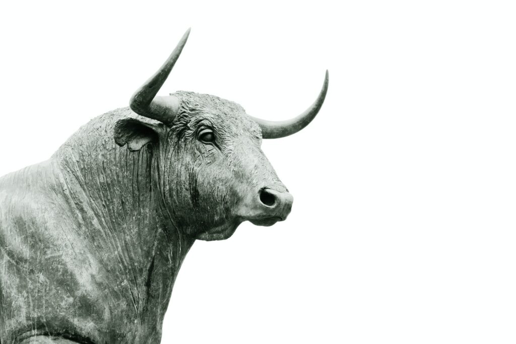 Bull market in stock investing