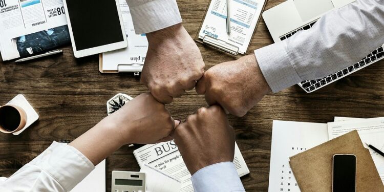 Portfolio management: what new investors must know?